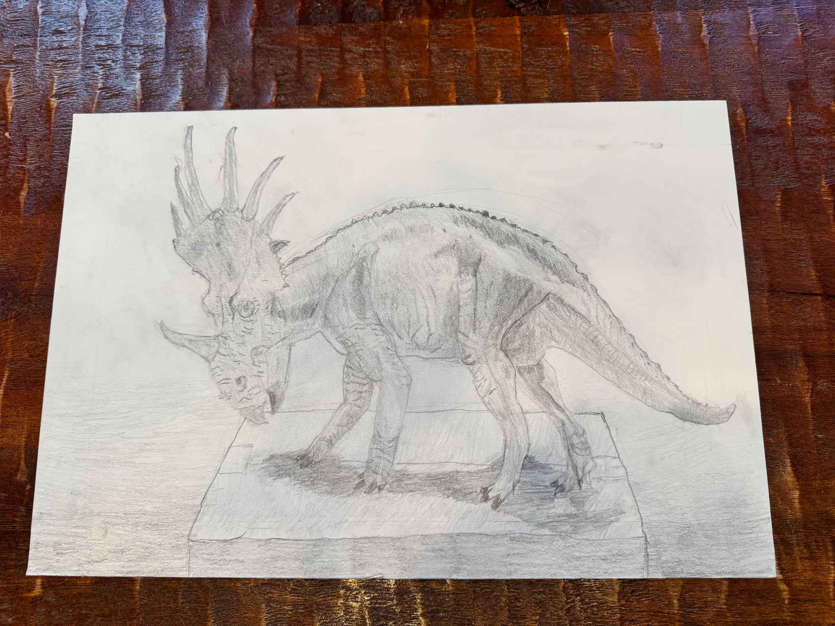 Graphite drawing of a styracosaurus by David