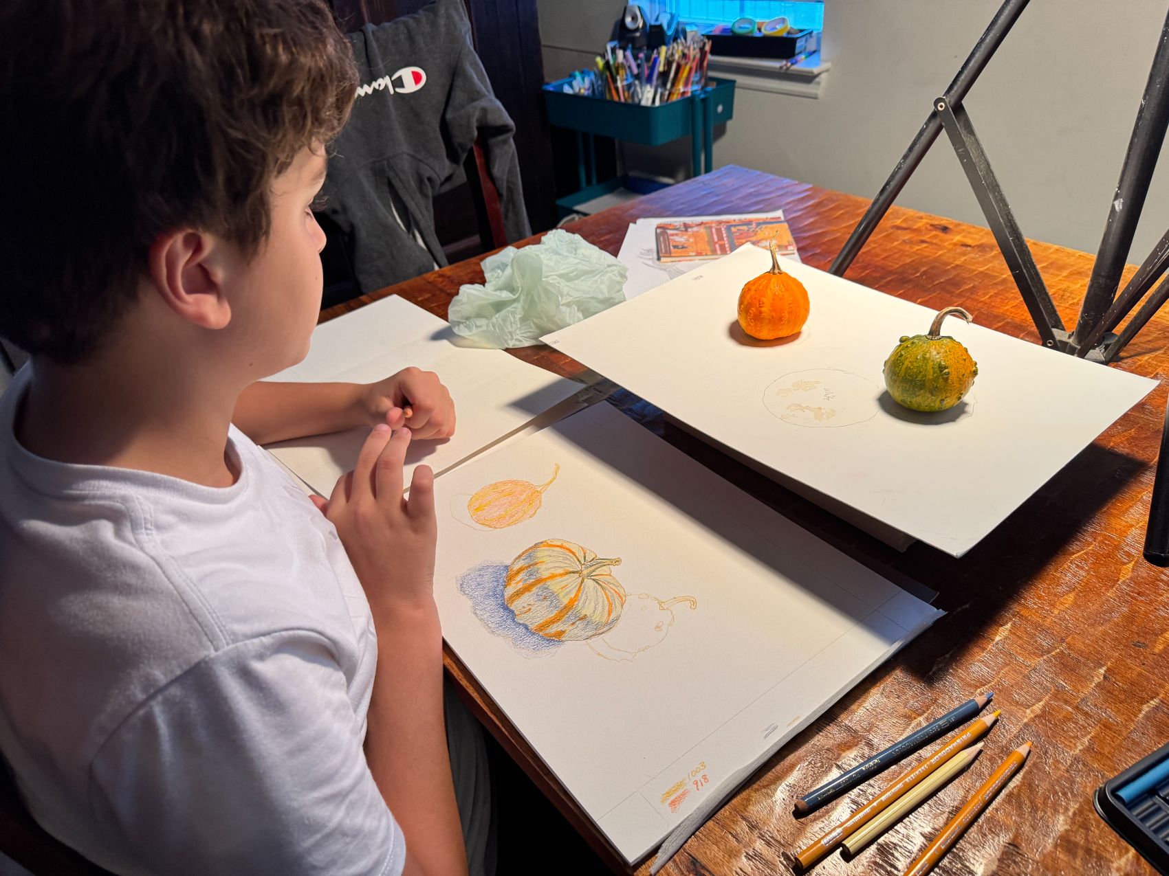 David working on a colored-pencil gourd still life at his drawing table