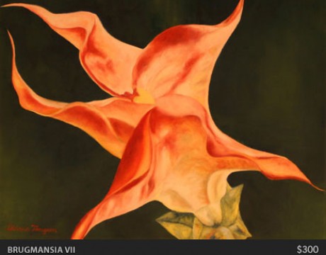 Brugmansia VII