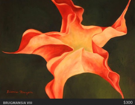 Brugmansia VIII