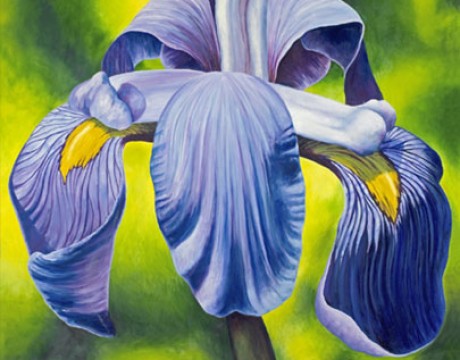 Iris Painting