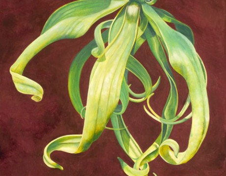 Ylang Ylang Painting